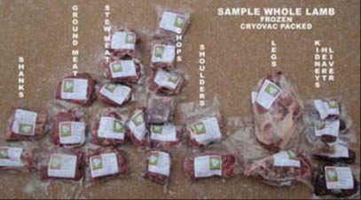 chart with cuts of lamb meat